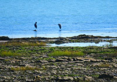 Isle-aux-Coudres