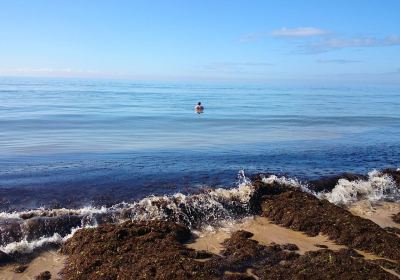 Praia de Monte Gordo