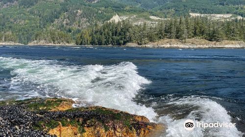 Skookumchuck Narrows Provincial Park