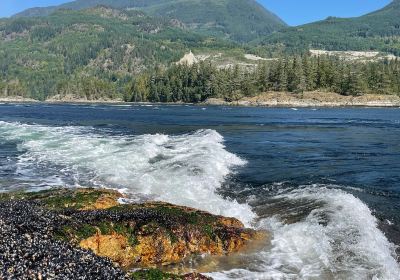 Skookumchuck Narrows Provincial Park