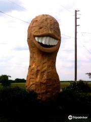 Jimmy Carter Peanut of Plains Statue