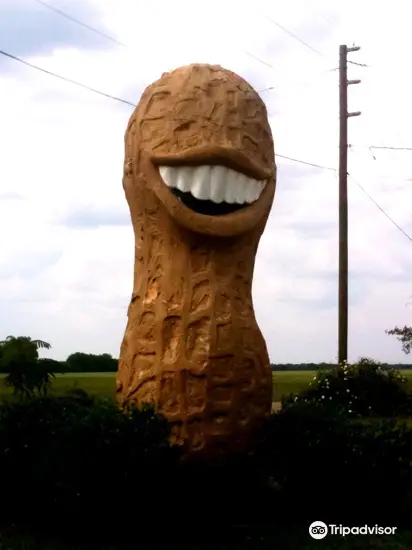 Jimmy Carter Peanut of Plains Statue