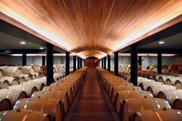 Các khách sạn gần Colchagua Valley