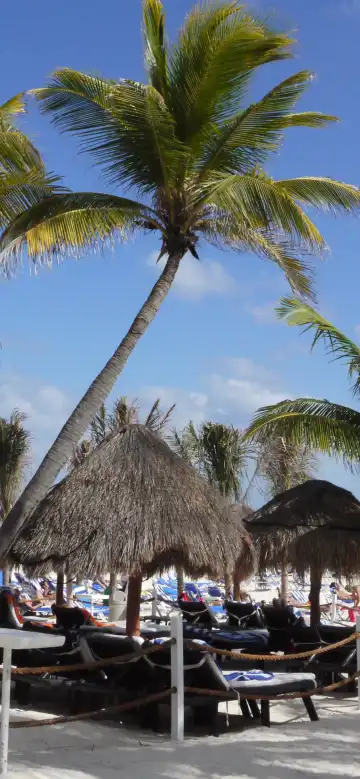 鄰近瑪雅河的酒店