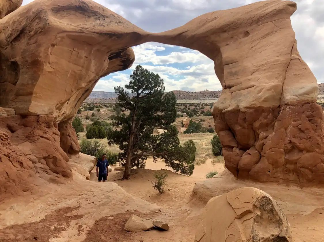 Hotels near Hole In The Rock Road