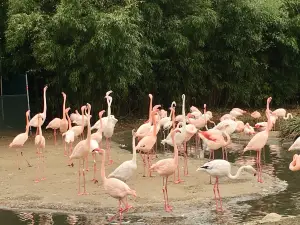 バーゼル動物園