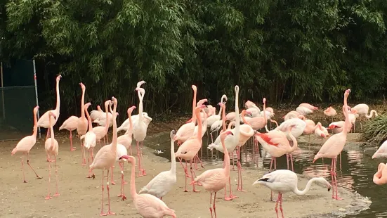 バーゼル動物園