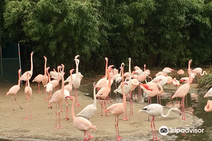 バーゼル動物園