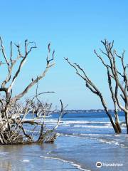 Botany Bay Heritage Preserve/Wildlife Management Area