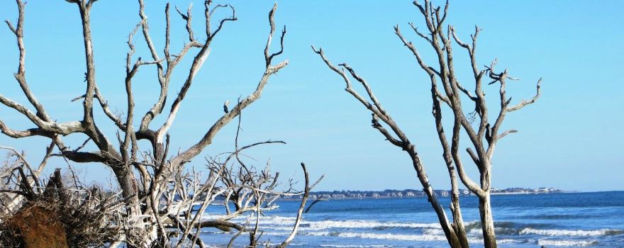 Botany Bay Heritage Preserve/Wildlife Management Area
