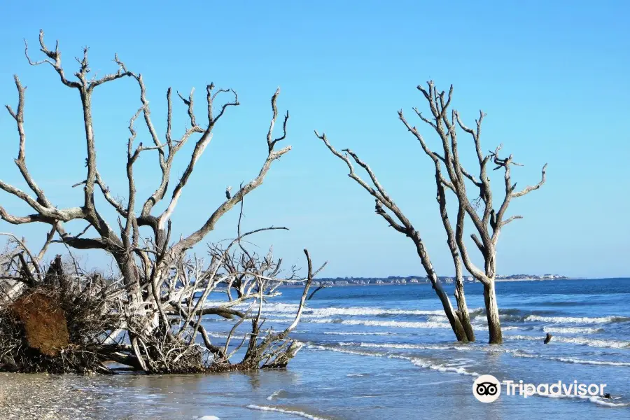 Botany Bay Heritage Preserve/Wildlife Management Area