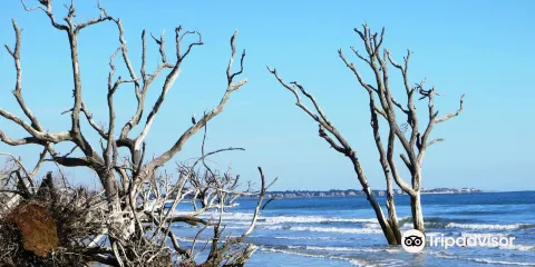 Botany Bay Plantation Heritage Preserve/Wildlife Management Area