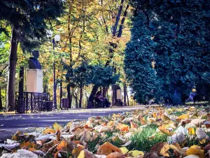 Copou Parc