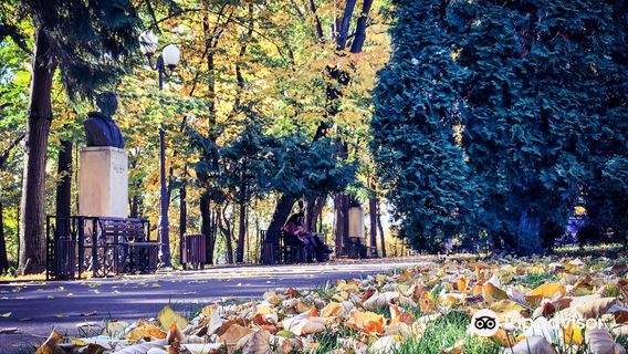 Copou Parc