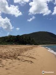 Plage de Grande Anse