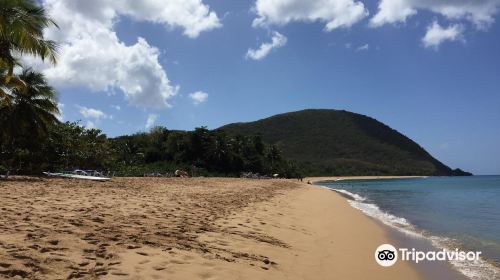 Plage de Grande Anse