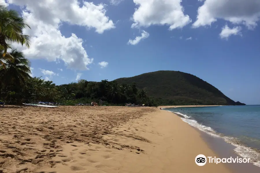 Plage de Grande Anse