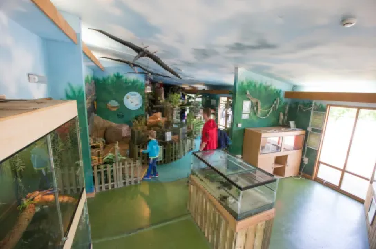 Gullivers Dinosaur and Farm Park