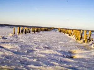 Wadden Sea National Park and World Heritage Site