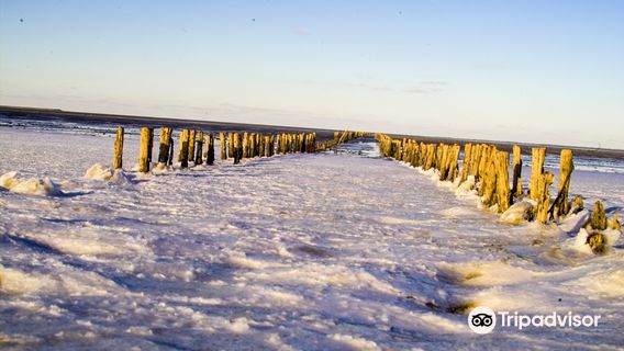 Wadden Sea National Park