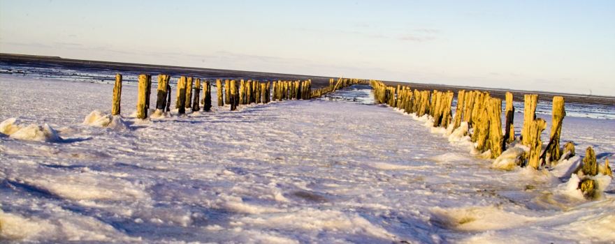 Wadden Sea National Park and World Heritage Site