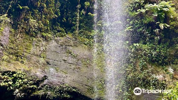 Cascada De los Tilos