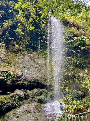 Cascada De los Tilos
