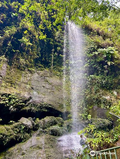 Cascada De los Tilos