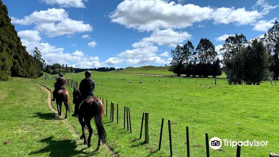 The Farmhouse Rotorua Ltd