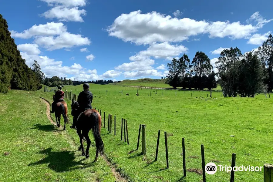 The Farmhouse Rotorua Ltd