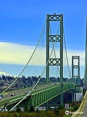Ponte di Tacoma Narrows