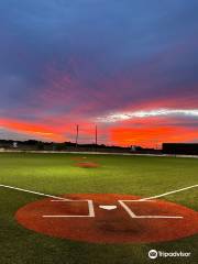 CTX Field Of Dreams