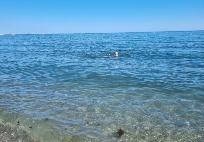 Torrevijia Beach