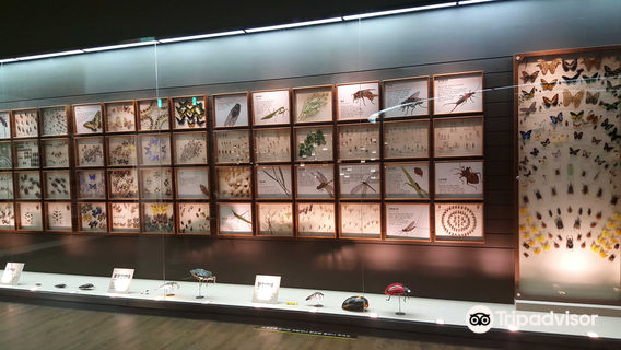 Mokpo Natural History Museum
