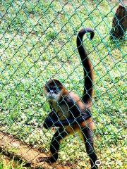 Tree of Life Wildlife Rescue Center and Botanical Gardens