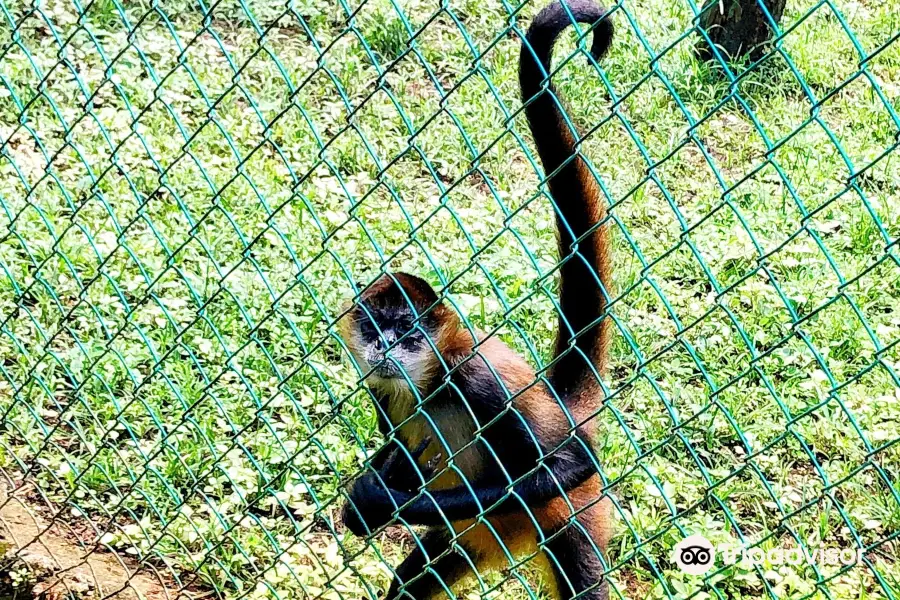 Tree of Life Wildlife Rescue Center and Botanical Gardens