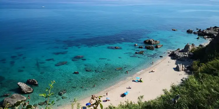 Parghelia
