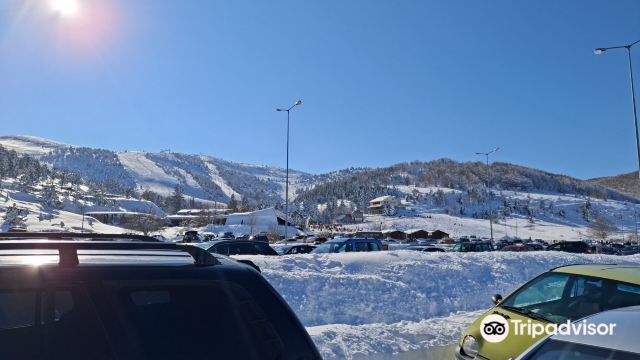 veria