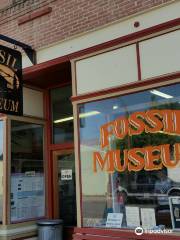 Fossil Museum