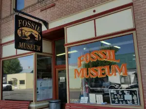 Fossil Museum