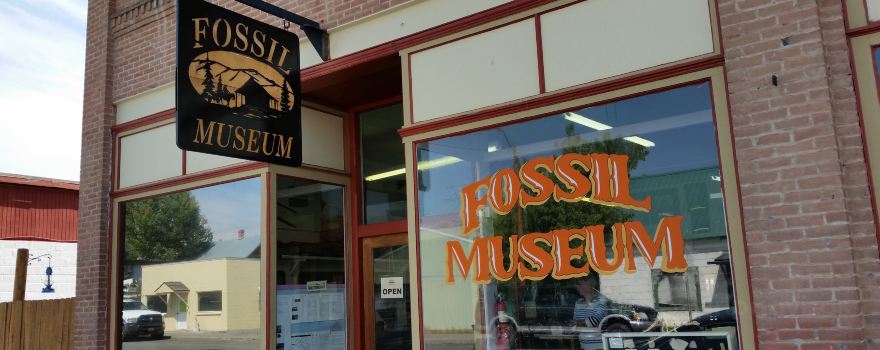 Fossil Museum
