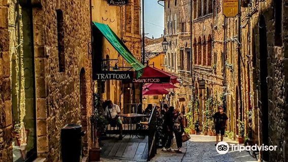 Volterra