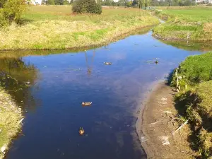 Crossing rivers - the bifurcation