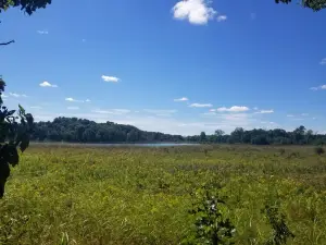 John Muir Memorial County Park