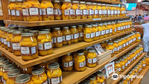 Lane Southern Orchards