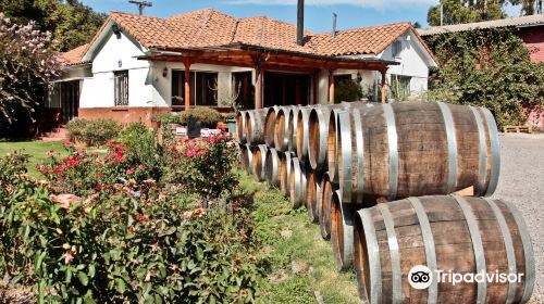 Portal del Alto Vineyard