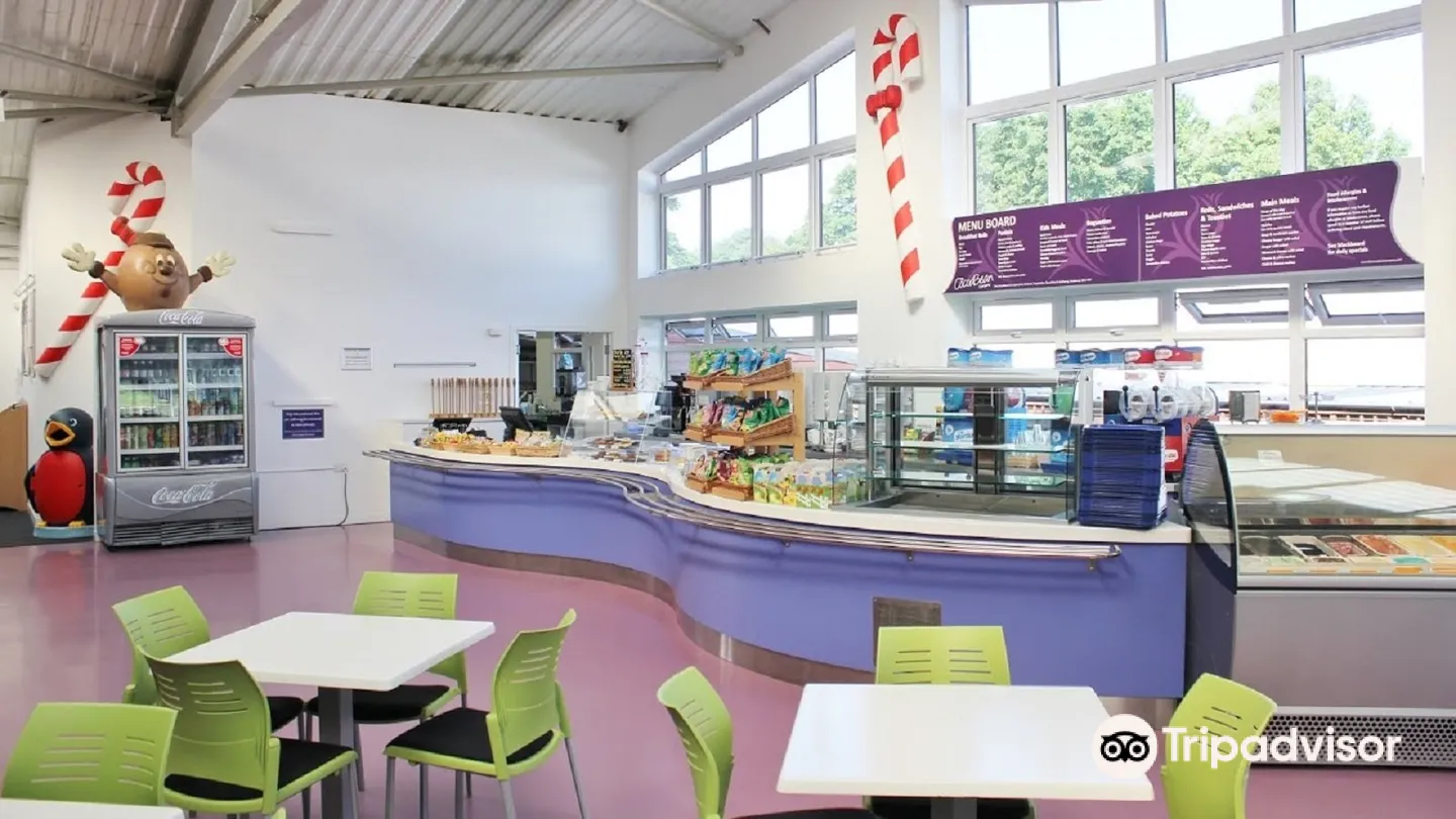 3_The Cocoabean Company