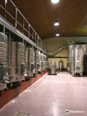 Bodega Severino Sanz