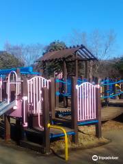 Nanaido Park