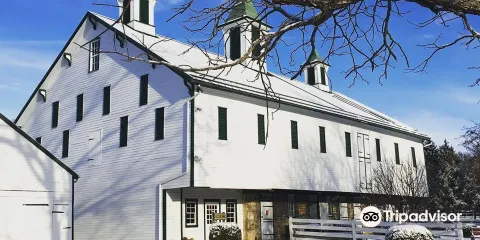 Renfrew Museum and Park